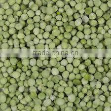 Dried green peas (hot sale )