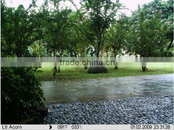 Hot!!Scoutguard Hunting Camera with MMS Function KO-HC01