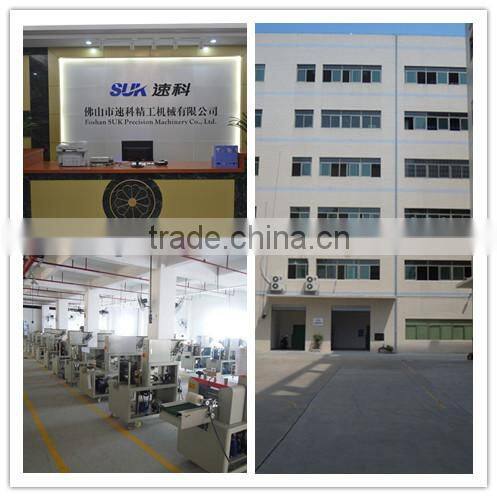 SZ-600W Super rate horizontal flow Reciprocating pillow machine,packaging