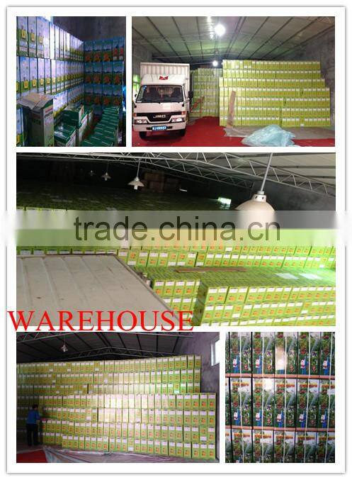 Automatic agriculture battery sprayer 18L with CE, ISO9001