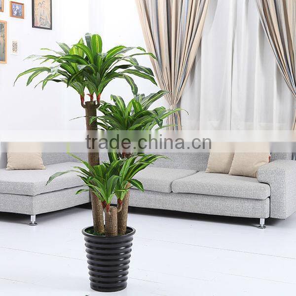 Artificial Dracaena Fragrans