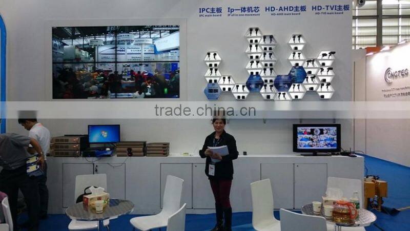 IW-P3023GA HD 1080P 2 Megapixel Night Vision IP Camera