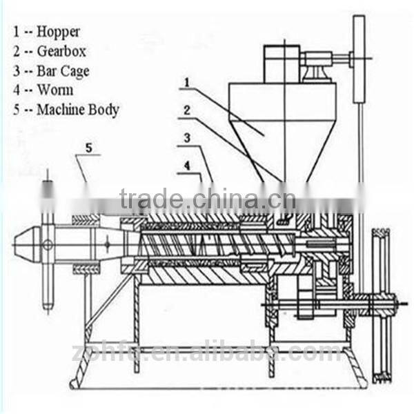 peanut oil making machine/sesame oil extraction machine/palm oil press machine