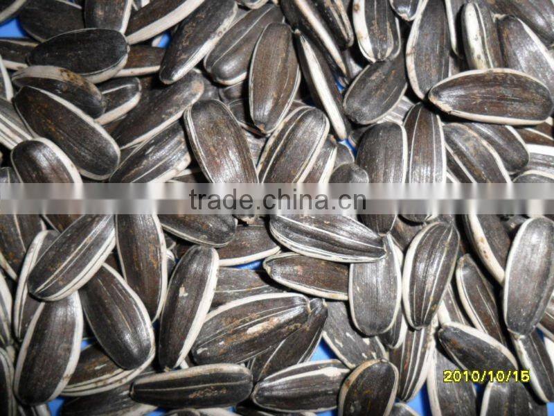 sunflower seeds