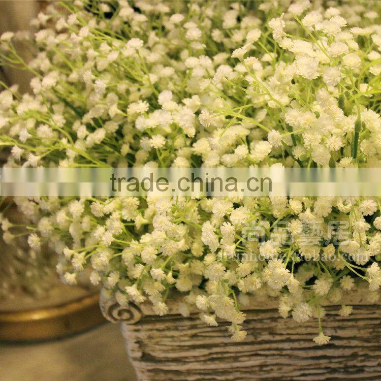 Top Quality White Pink Babys breath Seeds Gypsophila Seeds For Landscape