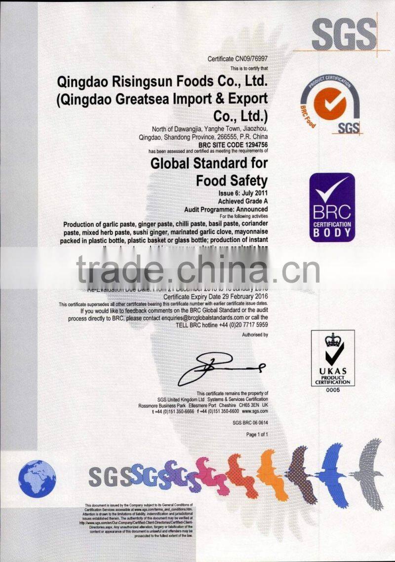 Basil paste basil sauce fresh vegetable