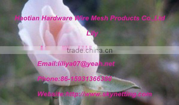 Welded Wire Mesh Barrier(galvanized+PVC-coated,used as fence mesh)