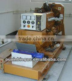 Professional and excellent 10kw biogas electric generator