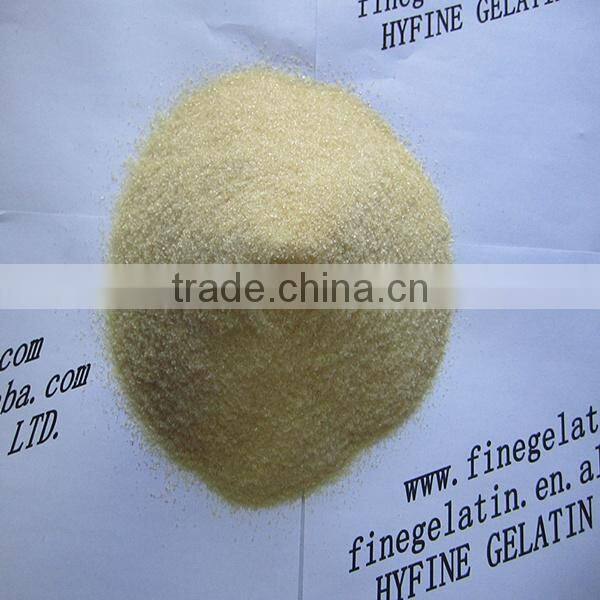 bovine collagen gelatin/halal gelatin factory/bovine gelatin manufacturer