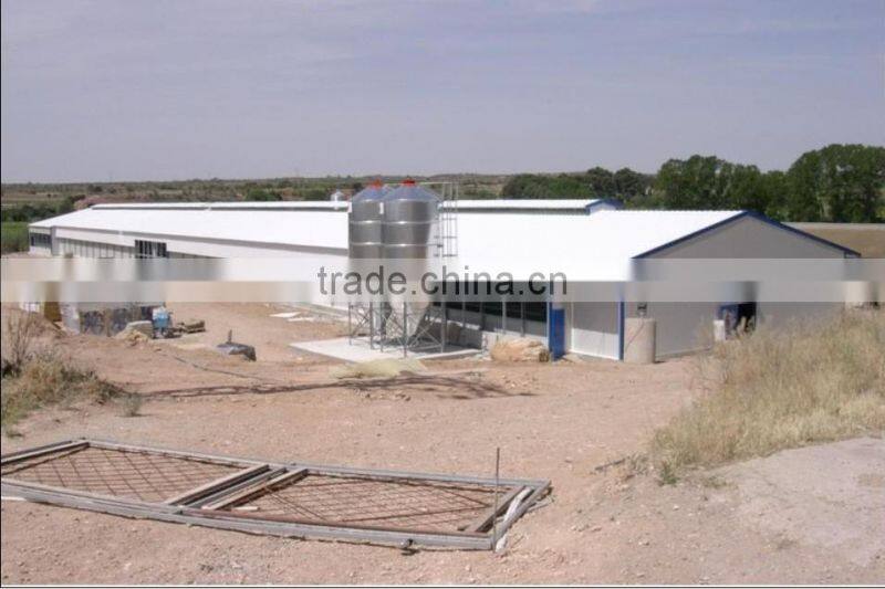 steel structure chicken shed/Light Steel Structure Shed for Cattle / Sheep /chicken from China