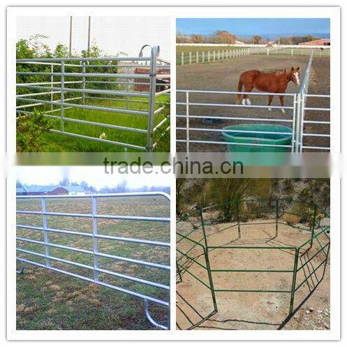 China supplier supplying hot-dipped galvanized cattle fence