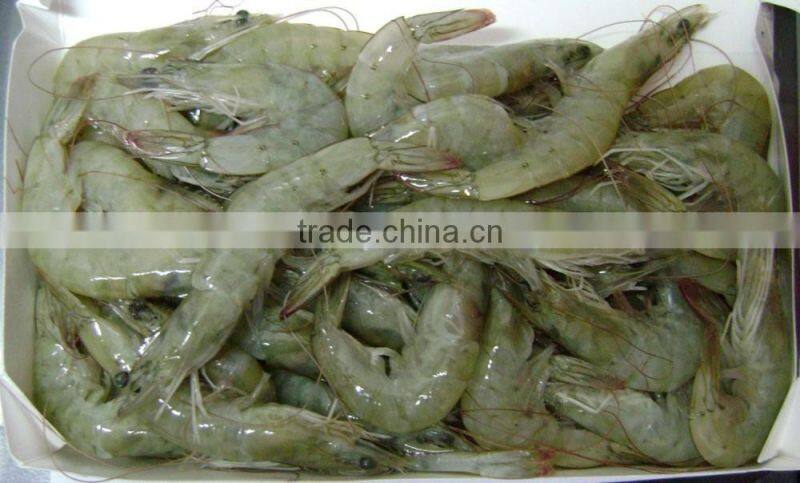 HL002 frozen seafood frozen shrimp exports