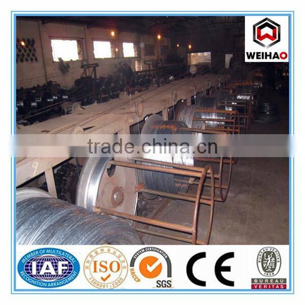 hessan cloth small coil 0.8 mm electro galvanized wire