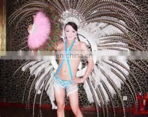 Popular lady amherst pheasant feathers for sale