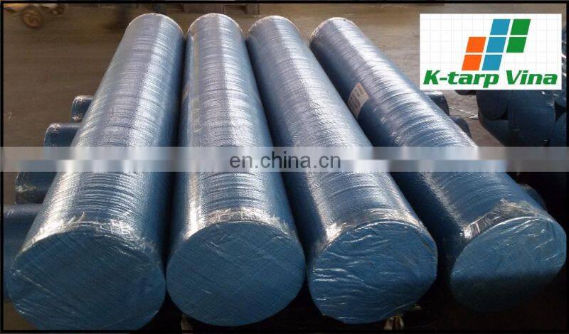 Economy Pe Tarpaulin ( Big size Roll)