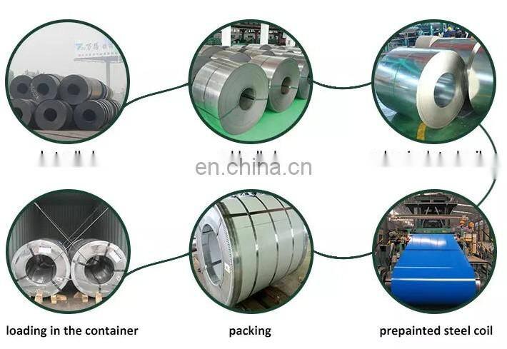 Shandong factory PPGI Coils Color Coated Prepainted Galvanized Steel Coil