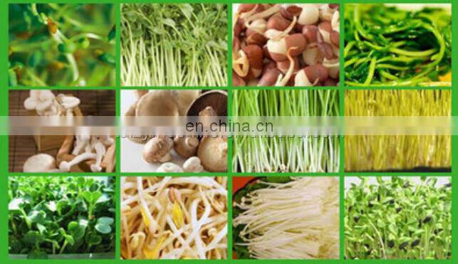 seed sprout machine barley sprout machine