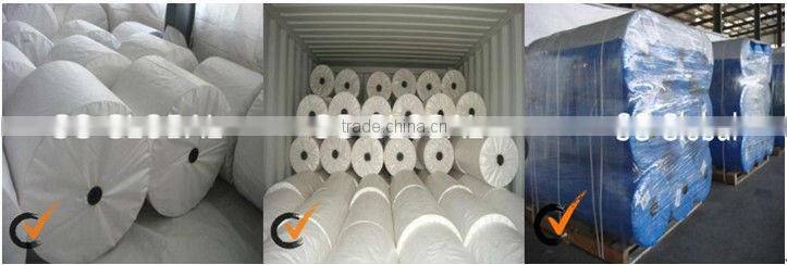 Green pp fabric made by water jet looms