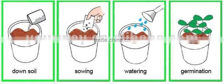 Mini Pyramid Garden, Flower Garden,Sunflower