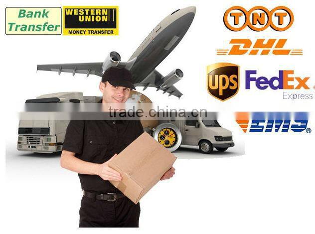 xly professional manufactuing of colorful printed zipper , nylon zipper