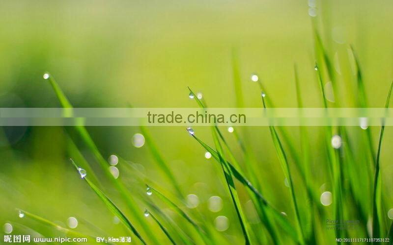 Best Bluetooth Speakers with CE FCC ROHS compliant Vibration Speaker.