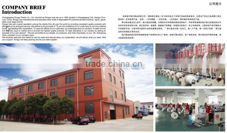 wholesale disposable plastic CPE gloves for householed