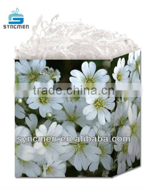2013 Popular Natural Design Gift Bag
