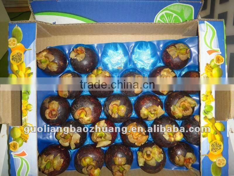 Recycled Fruit Tray Punnet