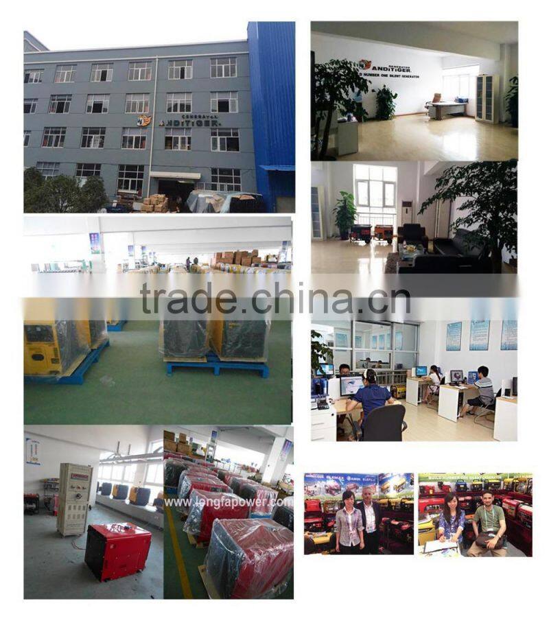 China Supplier 3000 Watts Air Cooled Electric Start 220 Volt Portable Generator