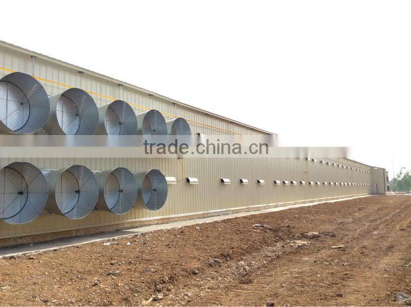 Light steel structure turn-key project chicken poultry farm