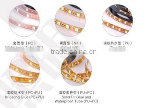 2016 Hotsale Decoration Light Europe Color Changing 12V led Strips light