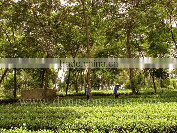 OLD STYLE OOLONG TEA