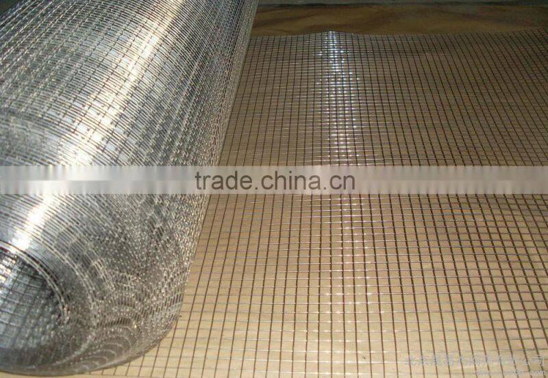 Galvanized WELDED wire mesh from Factory
