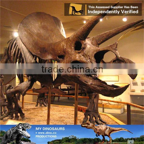 MY Dino-C076 Museum educational flexible skeleton