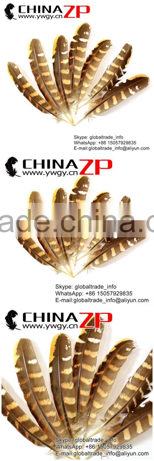 No.1 Supplier CHINAZP Top Selling 20-25cm Length Natural Reeves Venery Wing Pheasant Feathers for Decorations