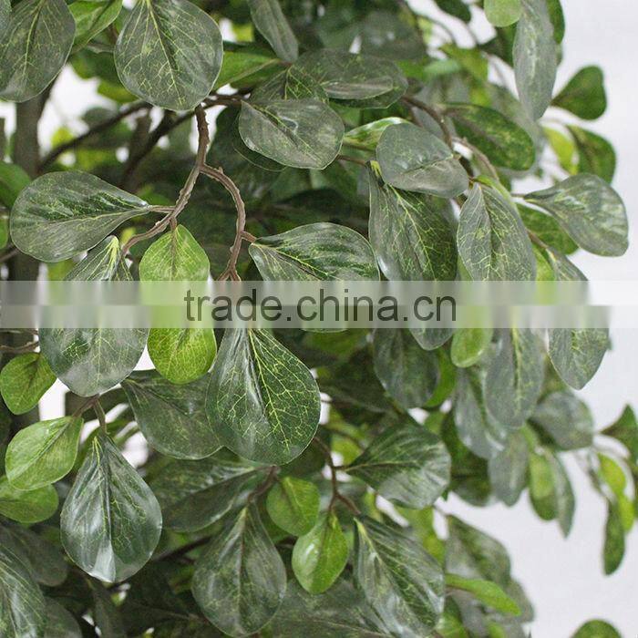 make artificial money tree plant