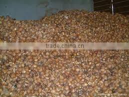 Soapnut Herbal product Exporter In Indian//Second Grade