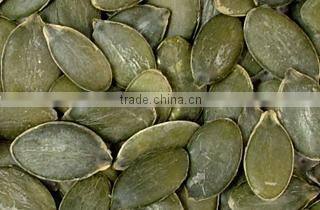 High Quality Pumpkin kernels and seeds