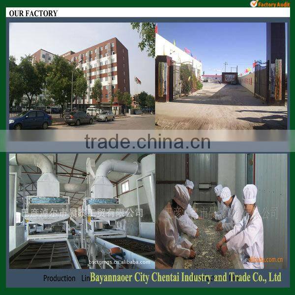 Supply Striped Sunflower Seeds For Sale/Sunflower Seed Nutrition