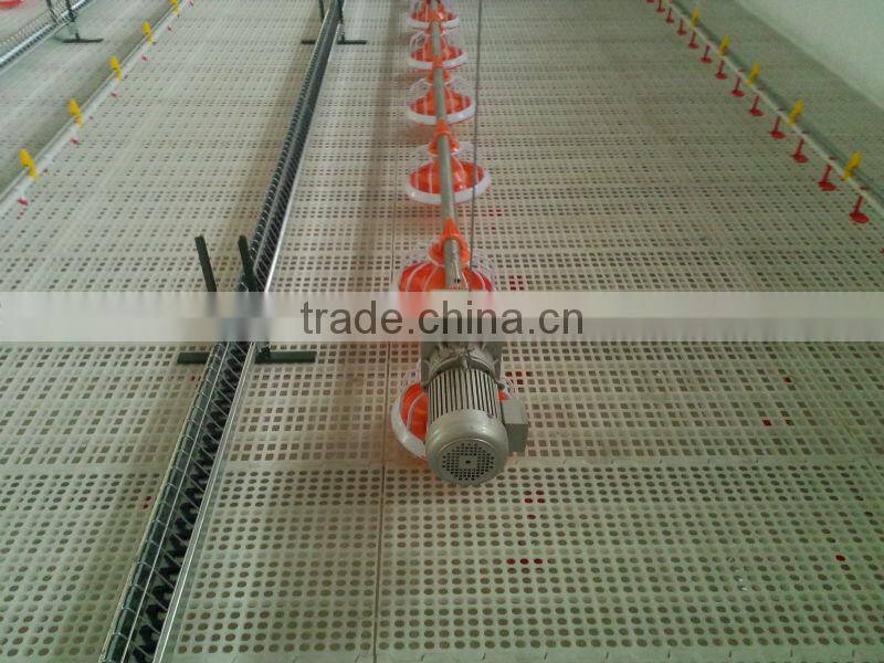 Automatic poultry equipment for duckling feeder duck slaughter house