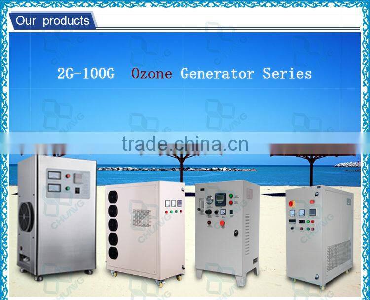 2013 best seller 100g medical ozonator manufacturer