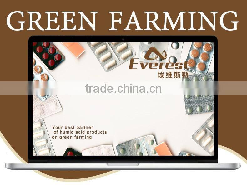 Supply High Purity Good Quality Better Price Seeds organic fertilizer buyers