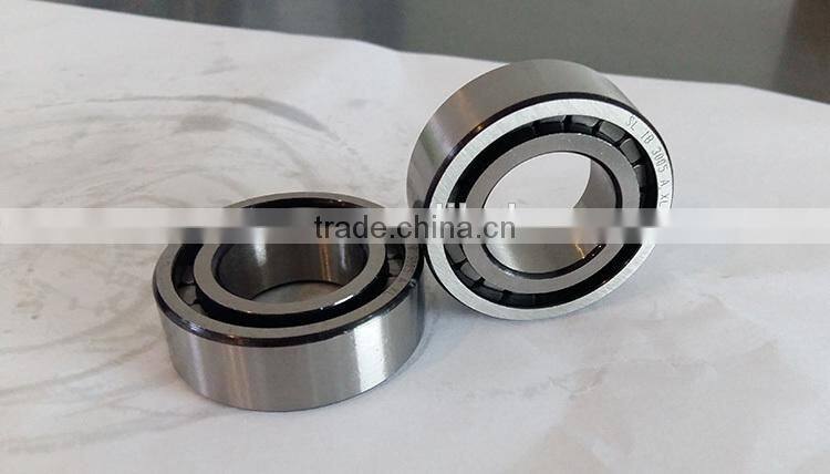 SL Bearing Made in China Full Cylindrical Roller Bearing SL182238 SL182938 SL183038