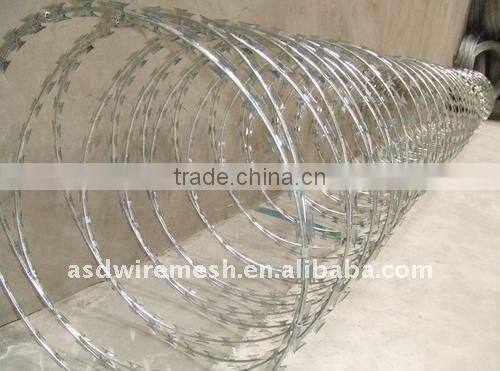 (high quality)Galvinized razor barbed wire(factory)
