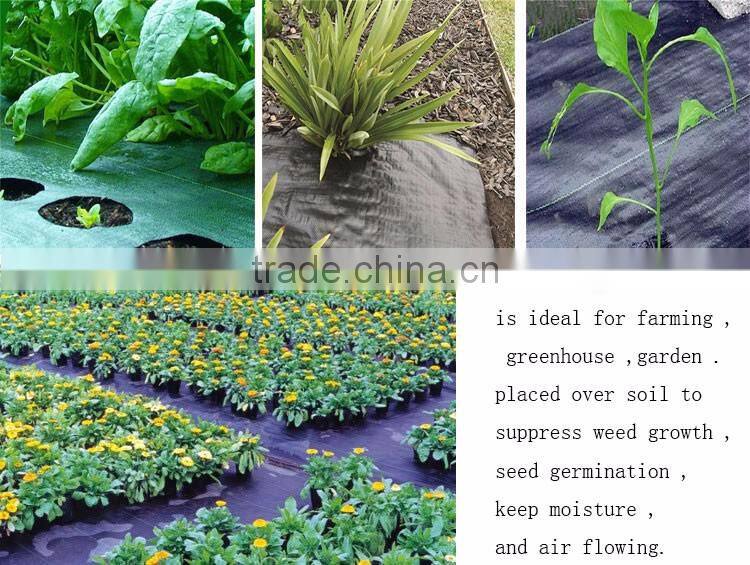 Vegetable growing plastic weed block matting