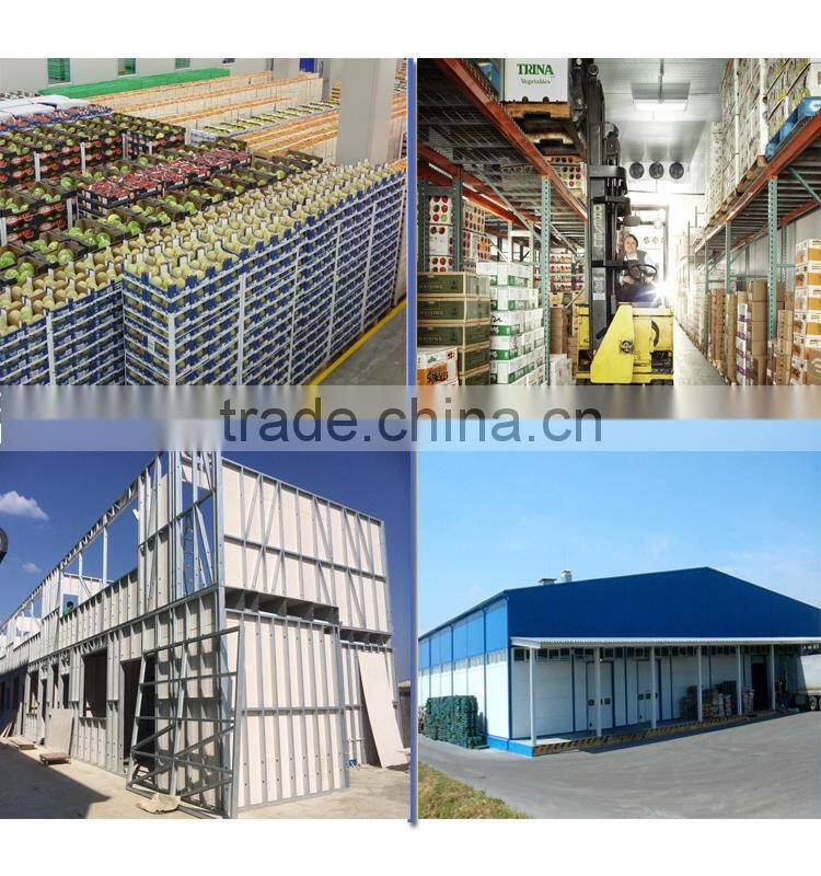 Used Prefabricated Vegetable Warehouse Buildings for Sale