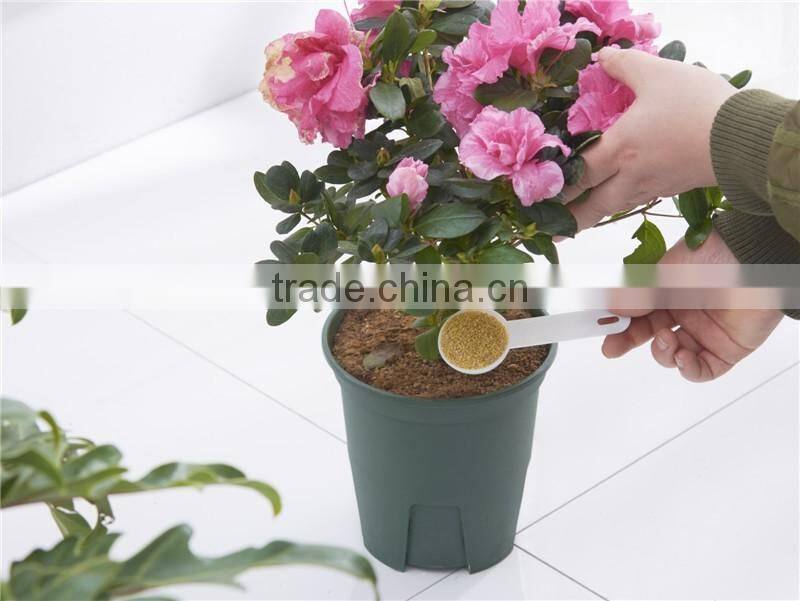 Plastic Measuring Spoon (1set with 5pcs)