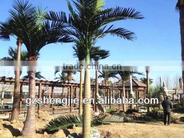 plastic fiber king coconut tree green park Artificial King Coconut Tree