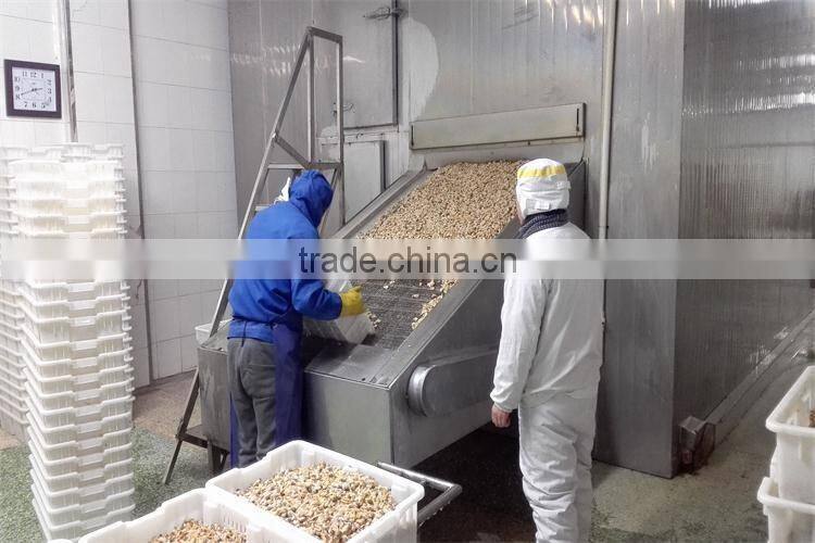 frozen boiled surf clam meat with delivery faster