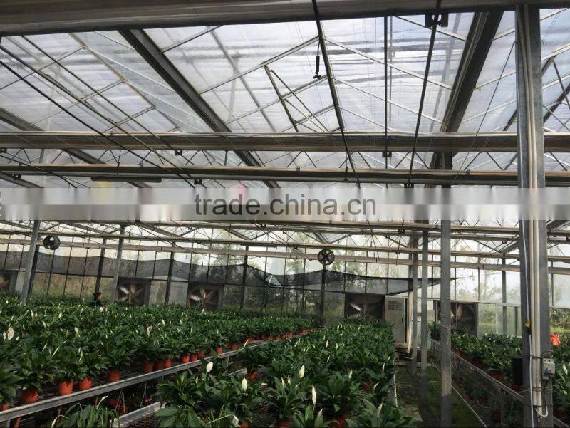 Commercial Polycarbonate Blackout Greenhouse for Medical Plant
